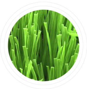 artificial grass manufacturer